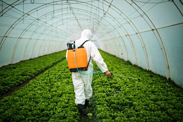 Best Pest Inspection Near Me  in Lonsdale, MN
