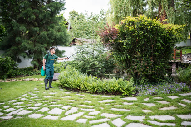 Best Mosquito Control Services  in Lonsdale, MN