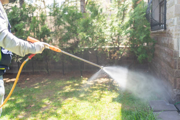 Trusted Lonsdale, MN Pest Control Experts