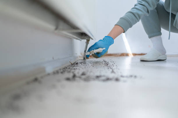 Best Pest Control for Businesses  in Lonsdale, MN